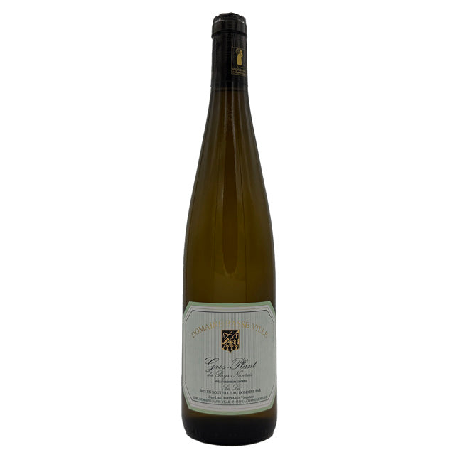 Domaine Basse Ville Gros Plant 2025